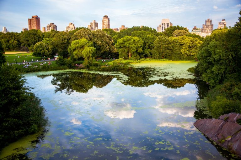 Central Park 5 inspiring virtual travel tours