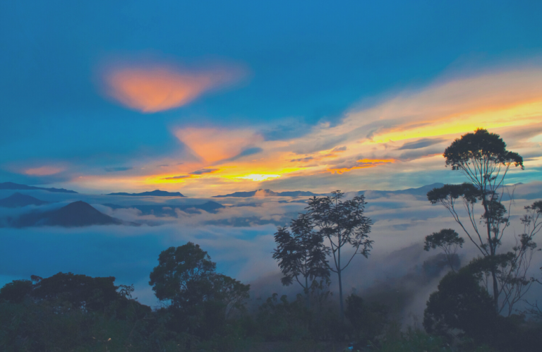 Ecuador Group Travel