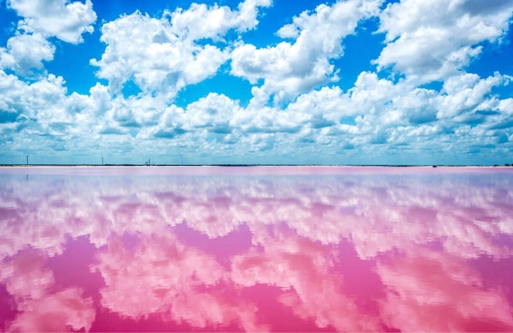 las coloradas
