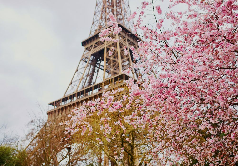 Shoulder Season Paris